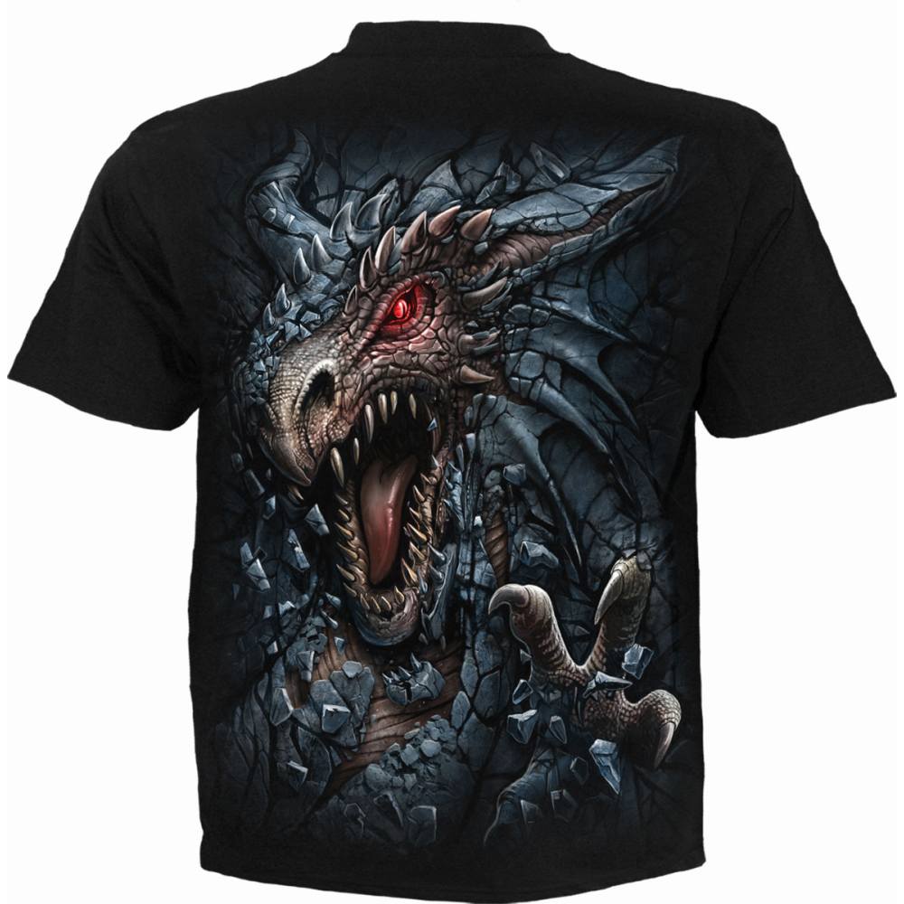 Spiral - DRAGON'S LAIR Herren T-Shirt - Schwarz